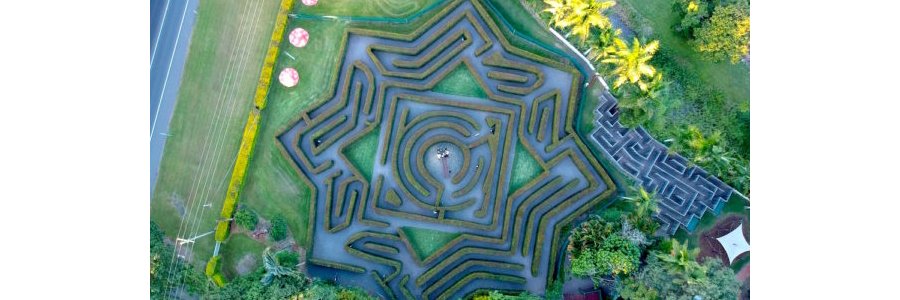 Bellingham Maze