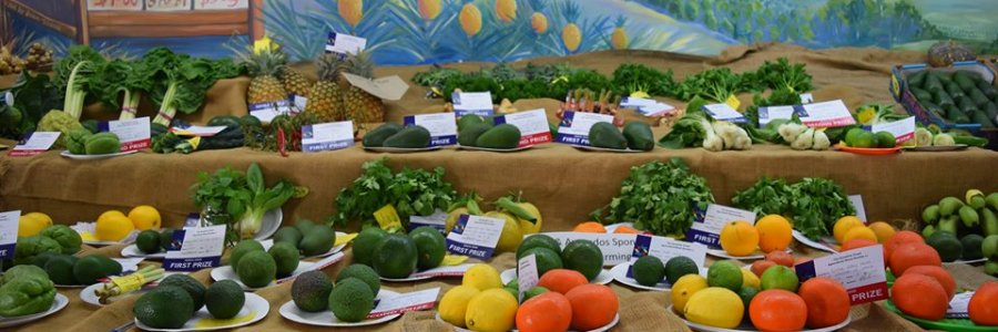 Sunshine Coast Agricultural Show Society Inc 2018